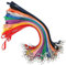 Segus Lanyard, Schlüsselband mit Karabiner, Schlüsselband Bunt 50 Stück, Chlüsselbänder aus Nylonimitat, Umhängeband Schlüssel für Ausweishülle, Namensschilder