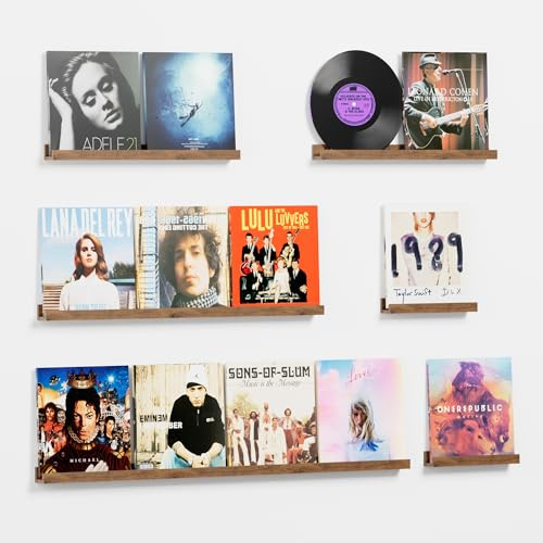 Bilderleiste Holz, 6 Stück Hängeregale Schallplatten Fotoleiste Schweberegal Kunststoff Wandregal Wandhalterung Raumdeko Regal zur Präsentation für Wohnzimmer, Küche, Arbeitszimmer, Badezimmer