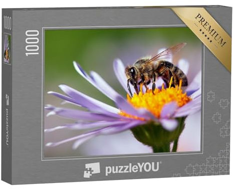 puzzleYOU: Puzzle 1000 Teile „Detailaufnahme: Honigbiene auf Einer Blüte“ – aus der Puzzle-Kollektion Bienen