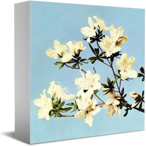 Spring Azaleas Spring Wood Block Plaque Decor Spring Decorations Desk Decor Wooden Box Sign for Farmhouse Home Kitchen Bathroom Tiered Tray Shelf Table Gift For Women Men 5x5 Inch