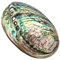 Coquillage Grand Ormeau, Plusieurs Trous Maculage Décoratif Accessoire Fête Mariage Maison Décoration 90 mm x 120 mm x 39 mm Trou : Environ 3 mm-9 mm