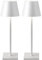 VISDANFO 2 Pezzi Lampada da Tavolo LED Senza Fili, Ricaricabile 5000mAh, Dimmerabile, 2700-6000K, Lampada da Comodino Batteria per Camera da letto, Sala da pranzo, Esterno, Impermeabile (Bianco)