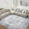 Falflor Vintage Area Rug for Living Room 120x170CM Anti Slip Bedroom Rugs Machine Washable Floor Mat for Living Room Soft Floor Carpet for Dining Room Kitchen Bedroom(Grey)