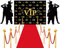 4 Stück VIP-Fotografie-Hintergrund, roter Teppichläufer für VIP-Mottoparty-Dekorationen, Filmthemen-Banner, Paparazzi-Requisiten, roter Teppich-Zubehör für Zuhause, Filme, Partyzubehör, Gastgeschenke
