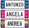 GFD - Targa Auto con Nome o Frase Personalizzata in Alluminio 3 mm - 36 x 11cm - Disponibile Diversi sistemi di fisaggio a Scelta per poterla Fissare in Auto - Made in Italy