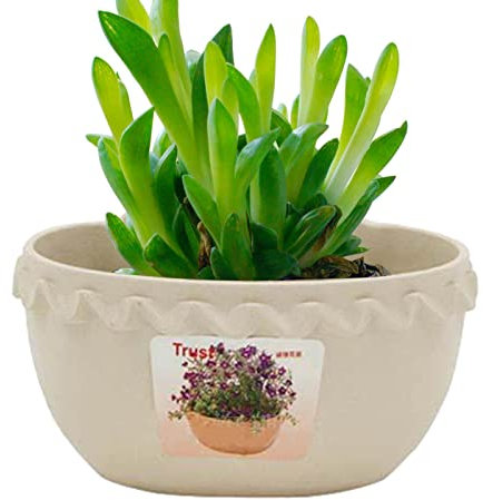 Maceta para jardín – Maceta para Exteriores, para Colgar en la Pared, Forma Punta, Rejilla Rejilla, fácil Colgar para jardín, balcón, Cocina