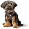 HUNTER Hundegeschirr Love, Farbe: braun, weiches Rindsleder, atmungsaktive Mesh-Polsterung, Herz handgenäht, hoher Komfort, Made in Germany, Größe: XXS-XS