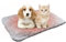 Selbstheizende Decke für Hunde & Katzen, 48x70cm Anti-Slip Geräuschlos Haustiere Wärmedecke, Waschbare Welpen Thermodecke Umweltfreundliche Wärmematte Universell für Katzen und Hunde(Weiße Schwarze)