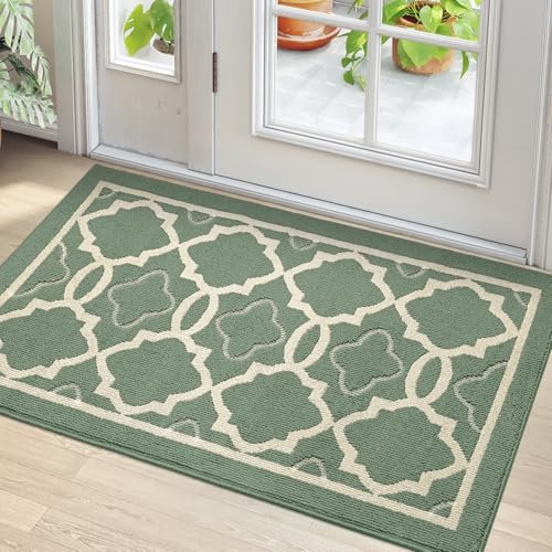 DEXI Non-Slip Doormat, Indoor and Outdoor Door Mat, Absorbent and Durable, Machine Washable, Dustproof Entrance Mat, 80 x 120 cm, Green