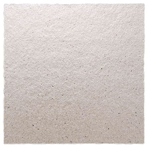 Ghulumn 2 placas de 12 x 12 cm para accesorios de microondas Mica