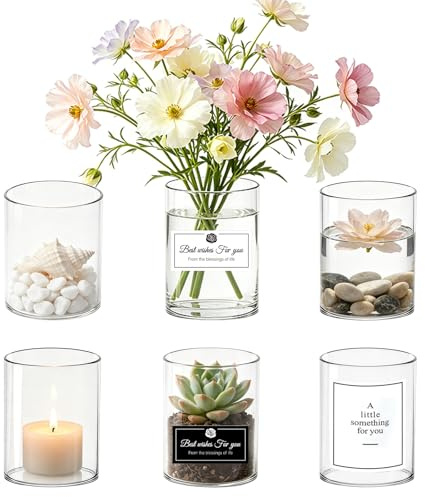 6 Pezzi Vaso Vetro Trasparente per Fiori,8 x 6.5 cm Cilindro Vaso di Fiori in Vetro Trasparente,Centrotavola Cilindrico in Vetro Decorativo,Vasi per Porta Candela, Fiori, Conchiglie, Perline