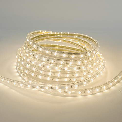 Festive Lights Innen/Outdoor SMD LED Lichtschlauch – sehr biegsam – für kreative Lichtinstallationen – 6 Farben – 60 SMD LEDs pro Meter – beliebige Länge bis 100 Meter (1m Warmweiß ohne Stecker)