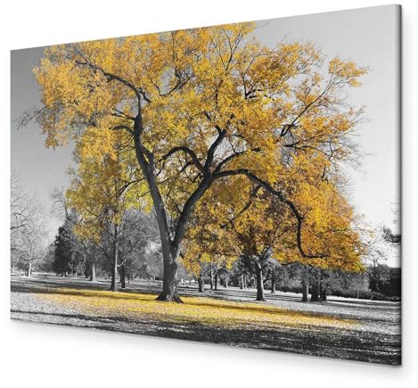 murando - Wandbilder XXL Baum 120x80 cm Leinwandbild 1 tlg Kunstdruck modern Wandbilder XXL Wanddekoration Design Wand Bild - Bäume Natur Landschaft schwarz weiß gelb c-B-0445-b-c