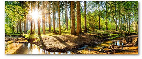Tulup Glas-Bild Wandbild aus Glas - Wandkunst - Wandbild hinter gehärtetem Sicherheitsglas - Dekorative Wand für Küche & Wohnzimmer 125x50 - Landschaften - Wald Panorama - Grün