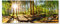 Tulup Glas-Bild Wandbild aus Glas - Wandkunst - Wandbild hinter gehärtetem Sicherheitsglas - Dekorative Wand für Küche & Wohnzimmer 125x50 - Landschaften - Wald Panorama - Grün