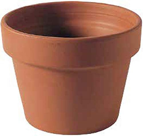 Generico Vasi in Terracotta (10 Pezzi) - Diametro 14 cm, Altezza 9 cm, Ciotola Fioriera in Cotto per Piante Grasse Succulente Giardinaggio con Foro per il Drenaggio