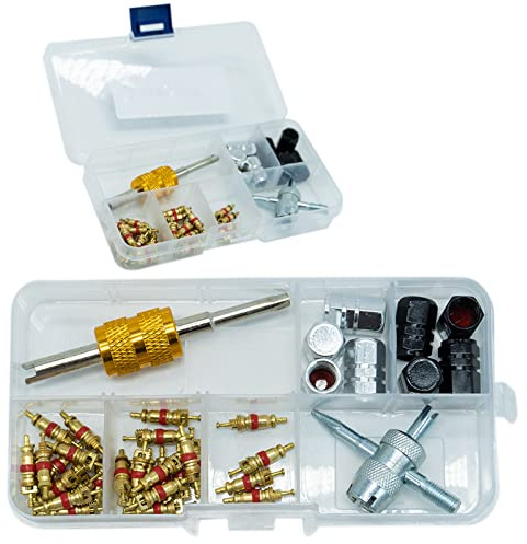 SZXMDKH 40pcs Valve Core Remover Tool with Tire Schrader Valve Stem Cores and Caps Valve Core Remover Schrader Valve Tool