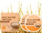 Reisshampoo Bar,Reiswasser Shampoo Bar,Rice Water for Hair Shampoo Festes Gegen Haarausfall 2 in 1,Reinigende und Feuchtigkeitsspendende Conditioner,für Haarwachstum & Stärkung (2PC)