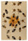Honey Bees 1000 Holzpuzzles in Kunststoffboxen (vertikale Version), die interessante Puzzles für alle Altersgruppen sind