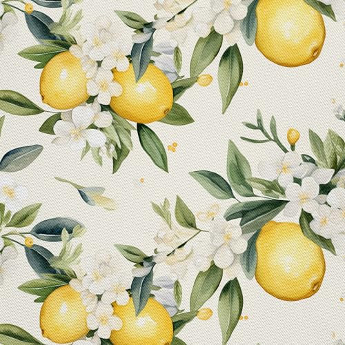 HEKO PANELS Stoff Oxford Wasserdichte Meterware Canvas-Stoff Polyester Nähstoff Dekostoffe Handwerken Wasserabweisend Blickdicht Zitronen Obst Aquarell Wasserfarbe 2 Meter 155 x 200 cm DX2239