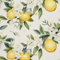HEKO PANELS Stoff Oxford Wasserdichte Meterware Canvas-Stoff Polyester Nähstoff Dekostoffe Handwerken Wasserabweisend Blickdicht Zitronen Obst Aquarell Wasserfarbe 2 Meter 155 x 200 cm DX2239