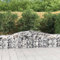 FUDUGEHMIOFWFJJ teichbecken,pflanzkübel XXL,pflanzkübel rechteckig,Gabionen mit Hochbogen 6 STK. 400x50x60/80cm Verzinktes EisenGeeignet für Garten, Terrasse, Schlafzimmer, Wohnzimmer