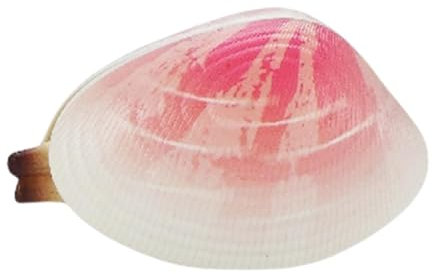 Lustige Wasserspiele - Wasserspielzeug für Kinder und Erwachsene, originelle Witze und Fang | Lustige Witze, lustig für Sommer, Garten, Pool, Party und Spaß im Freien