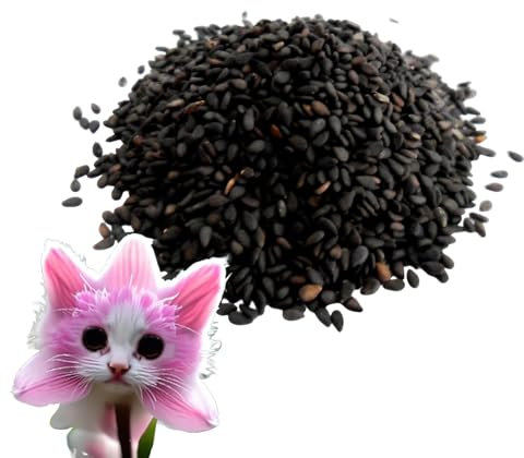 100pieces Cat Face Orchid Seed, Cat Face Flower Cute Novelty Orchid Flower Seeds for Bedrooms, Study Rooms, Or Workspaces