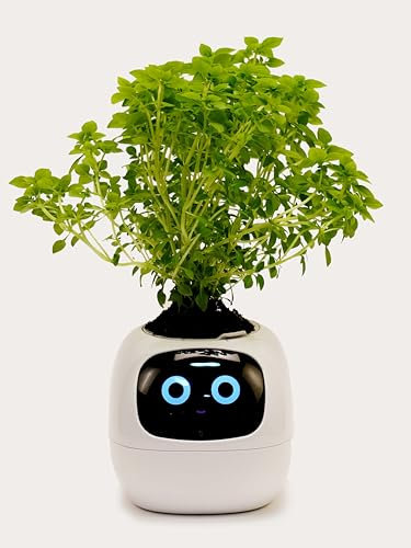 Genérico Maceta Inteligente con Tierra y Semillas | Kit Huerto Urbano | Cultiva en Casa Fácil | Envío Rápido Desde España