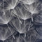 Arthouse | Harmony Dandelion Navy/Silver Wallpaper | Stunning Dandelion Design | Stylish Feature Wall or Full Room Decor | Easy Paste The Paper Application | 1005 x 53cm