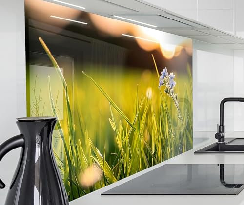 timalo Herd Spritzschutz Wand Spüle, Küche Küchenrückwand Glasoptik | Acryl Glas 2mm | Glasrückwand Acrylglas Küchenpaneele Küchenspiegel | 160x50cm Wiese Natur Blumen