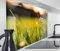 timalo Herd Spritzschutz Wand Spüle, Küche Küchenrückwand Glasoptik | Acryl Glas 2mm | Glasrückwand Acrylglas Küchenpaneele Küchenspiegel | 160x50cm Wiese Natur Blumen