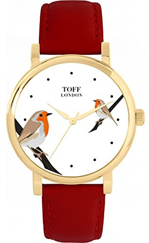 Toff London Robins Vogelbeobachtung