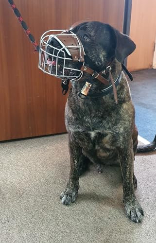 Strong Metal Wire Basket Dog Muzzle for Bully XL, American Bully & Other (B4, Silver Brown Leather)