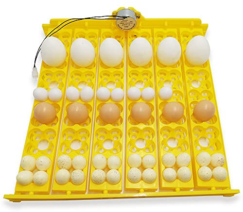 YALIKESI Bandeja de Huevos para incubadora, giratoria, automática, con Motor, para Pollos, Patos y pájaros (220 V)