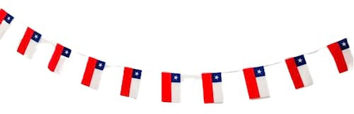 Pandiui23 Chile Flagge 40 Stück, 11.4M Flaggen, Nationalflagge, 14x21cm, für Gartenbars Dekorationen (Chile)