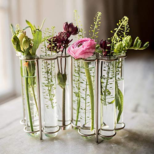 Culinary Concepts London W-Shaped Glass Test Tube Table Vase