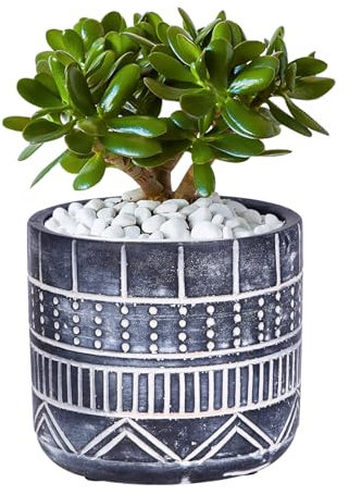 LINXIU Plant Pots Indoor 12.5CM Modern Planters with Drainage Holes Flower Pots Succulent Cactus Plant Pot Decor for Home and Office (Grey)