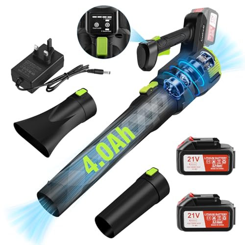 CHANGEMOORE 494CFM Brushless Leaf Blower Cordless with 2X4.0Ah Battery, Charger & 2 Nozzles, 21V Cordless 3-Speed Mode, Lightweight Battery Leaf Blower for Wet Leaves/Snow/Dust, Green