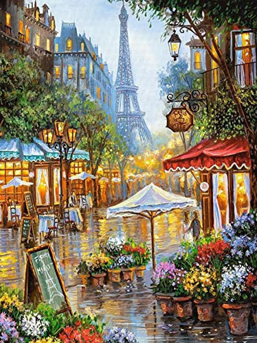 HUASHUZI 5D Diamond Painting Paris Eifelturm deko Bilder Diamant Painting Landschaft malerei Erwachsene Geschenk 30x40cm