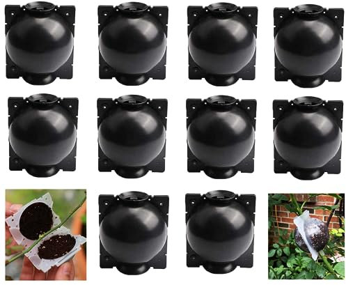 BINQILIN 10 cajas de cultivo de raíces de árbol, dispositivo de enraizamiento de plantas, caja de propagación de raíces, propagadores reutilizables para plantas de corte de plántulas (10S)