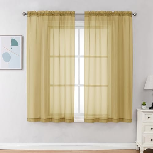 Chyhomenyc Goldfarbene transparente Vorhänge, 160 cm Länge, 2 Paneele, Stangentasche, solide Fenstervorhänge, elegant für Wohnzimmer und Schlafzimmer, 2 Paneele (Gold, 106,7 x 160 cm B)