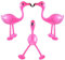 DazzJoy Hawaii Deko Aufblasbare Flamingo Ballons, 3 Stück Hawaii Party Deko Aufblasbar Flamingo Luftballons, Aufblasbarer Flamingo Spielzeug für Strand Tropisch, Beach Party Dekoration