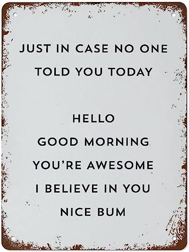 Vintage-Metallschilder „Just in Case No One Told You Today drucken, motivierendes Poster, Vintage-Blechschild, lustige Dekorationen für Zuhause, Büro, Farm Club, Wanddekoration, Plaketten, 20,3 x 30,