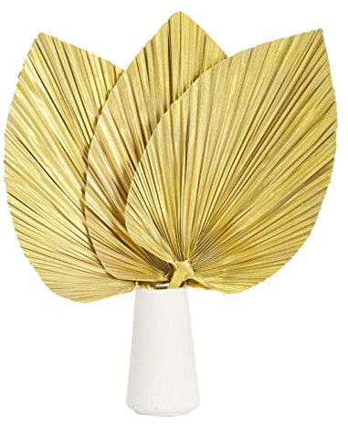 Grandes feuilles de palmier séchées - 45 cm - Éventail de plantes de palmier séchées pour la maison, le bureau - Décoration de mariage tropical - Décoration de table de fête - Fleurs et feuilles de