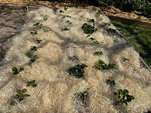 Fashion-Sonderposten Erdbeerwolle Gemüsewolle Gartenholzwolle Holzwolle 100 Prozent Ökologisch (2,5 KG)