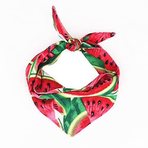 Hundehalstuch, Motiv: Wassermelone, Rot