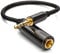 deleyCON 0,2m Câble Adaptateur Jack Stéréo Audio - Mâle 3,5mm vers Femelle 6,3mm - Mâle & Femelle Doré - Noir