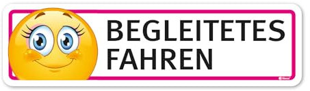 Fahrzeug-Aufkleber Begleitetes Fahren I 20 x 5,5 cm I Achtung Vorsicht Fahr-Anfänger I für Kfz Auto I wetterfest, selbstklebend I kfz342