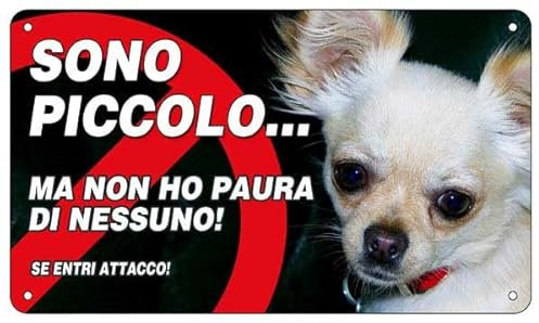 NEW CARTELLO SEGNALETICO - Attenti al cane Chihuahua, SONO PICCOLO, MA NON HO PAURA DI NESSUNO - Adesivo Extra Resistente, Pannello in Forex, Pannello In Alluminio (ADESIVO 20X31 CM)